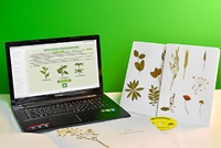 Гербарий натурально-интерактивный "Морфология растений" - fgospostavki.ru - Челябинск