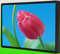 Киоск информационный настенный сенсорный 27" (вариант 1) - fgospostavki.ru - Челябинск