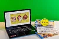 Коллекция натурально-интерактивная "Раковины моллюсков" - fgospostavki.ru - Челябинск