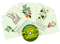 Интерактивный наглядный комплекс "Гербарий "Для начальной школы" - fgospostavki.ru - Челябинск