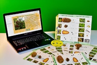 Коллекция натурально-интерактивная "Шишки, плоды, семена деревьев и кустарников" - fgospostavki.ru - Челябинск