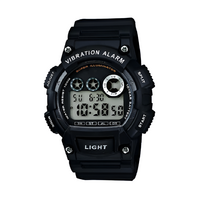 Часы с вибросигналом - fgospostavki.ru - Челябинск