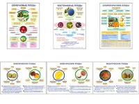 Плакаты ПРОФТЕХ "Плоды" (6 пл, винил, 70х100) - fgospostavki.ru - Челябинск