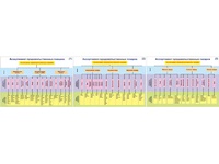 Плакаты ПРОФТЕХ "Ассортимент продовольственных товаров" (3 пл, винил, 70х100) - fgospostavki.ru - Челябинск