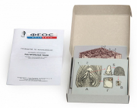 Модель-аппликация "Растительные ткани" (набор из 15 карт) - fgospostavki.ru - Челябинск