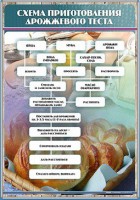 Стенд "Схема приготовления дрожжевого теста" - fgospostavki.ru - Челябинск