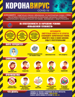 Плакат "Коронавирус" (вариант 1) - fgospostavki.ru - Челябинск