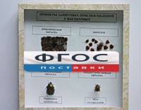Коллекция энтомологическая "Примеры защитных приспособлений у насекомых" - fgospostavki.ru - Челябинск