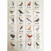 Набор карточек "ПТИЦЫ" - fgospostavki.ru - Челябинск