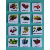 Набор карточек "Ягоды" - fgospostavki.ru - Челябинск