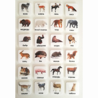 Набор карточек "ЖИВОТНЫЕ" - fgospostavki.ru - Челябинск
