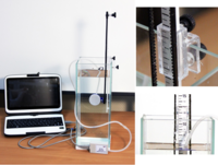 Набор демонстрационный «Гидростатика и плавание тел» - fgospostavki.ru - Челябинск