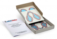 Модель-аппликация "Развитие легких позвоночных животных" (набор из 5 карт) - fgospostavki.ru - Челябинск