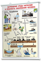 Плакаты по общей экологии для оформления кабинета. - fgospostavki.ru - Челябинск