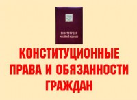 Комплект плакатов "Конституционные права и обязанности граждан" - fgospostavki.ru - Челябинск