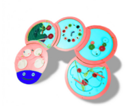 Тактильно-развивающая панель «Гусеница» - fgospostavki.ru - Челябинск