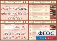 Стенд "Вязание крючком" - fgospostavki.ru - Челябинск