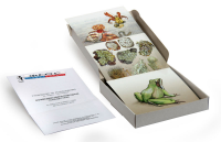 Модель-аппликация "Взаимодействия в природных сообществах" (набор из 23 карт) - fgospostavki.ru - Челябинск