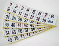 Фишки для игры «Бинго» со шрифтом Брайля - fgospostavki.ru - Челябинск