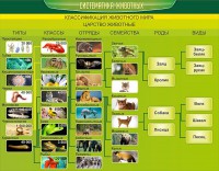 Стенд "Систематика животных" - fgospostavki.ru - Челябинск