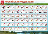 Стенд "Красная книга РФ" - fgospostavki.ru - Челябинск