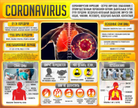Плакат "Коронавирус" (вариант 2) - fgospostavki.ru - Челябинск