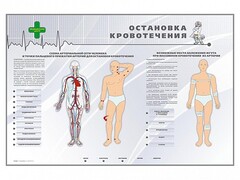 Электрифицированный стенд "Остановка кровотечения" - fgospostavki.ru - Челябинск