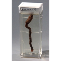 Влажный препарат "Пескожил" - fgospostavki.ru - Челябинск