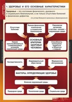 Комплект таблиц. ОБЖ. Здоровый образ жизни. - fgospostavki.ru - Челябинск