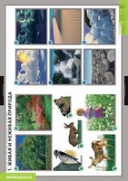 Комплект таблиц. Окружающий мир. Летние и осенние изменения в природе. - fgospostavki.ru - Челябинск