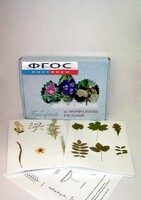 Гербарий "Морфология растений" (5 тем х 3 листа) - fgospostavki.ru - Челябинск