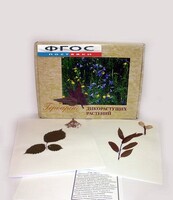 Гербарий "Дикорастущие растения" (28 видов) - fgospostavki.ru - Челябинск