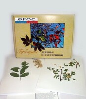 Гербарий "Деревья и кустарники" (20 видов) - fgospostavki.ru - Челябинск
