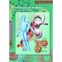 Интерактивные плакаты. Биология человека. Программно-методический комплекс - fgospostavki.ru - Челябинск