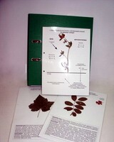 Гербарий к курсу основ общей биологии (20 листов, ламинированный) - fgospostavki.ru - Челябинск