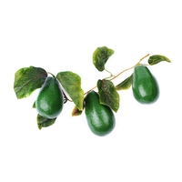 Ветка муляжей "Авокадо" - fgospostavki.ru - Челябинск