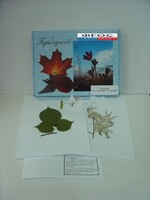 Гербарий "Медоносные растения" (24 вида) - fgospostavki.ru - Челябинск