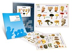 Комплект кодотранспарантов "Грибы" - fgospostavki.ru - Челябинск