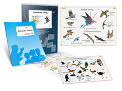 Комплект кодотранспарантов "Зоология. Птицы" - fgospostavki.ru - Челябинск