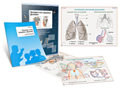 Комплект кодотранспарантов "Человек и его здоровье. Дыхание" - fgospostavki.ru - Челябинск