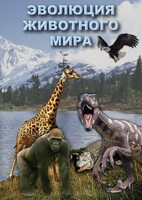 DVD "Эволюция животного мира" - fgospostavki.ru - Челябинск