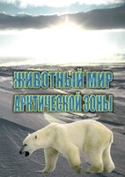 DVD "Животный мир Арктической зоны" - fgospostavki.ru - Челябинск