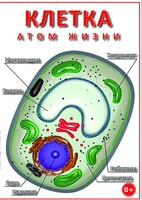 DVD "Клетка - "атом жизни" - fgospostavki.ru - Челябинск