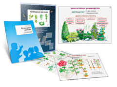Комплект кодотранспарантов "Культурные растения" - fgospostavki.ru - Челябинск
