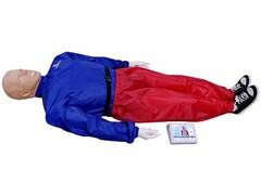 "Александр-04" тренажер-манекен взрослого пострадавшего для отработки приемов сердечно-легочной реанимации (голова, туловище, конечности) с контроллером - fgospostavki.ru - Челябинск
