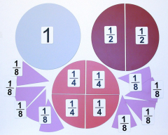 Набор магнитных карточек "Доли и дроби - 1" - fgospostavki.ru - Челябинск