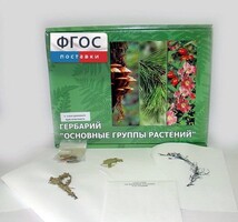 Гербарий "Основные группы растений" (52 листа) - fgospostavki.ru - Челябинск