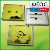 Набор для демонстрации электрических полей - fgospostavki.ru - Челябинск