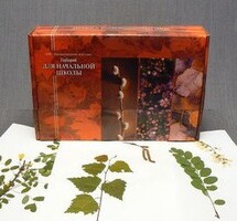 Гербарий для Начальной школы (28 видов) - fgospostavki.ru - Челябинск