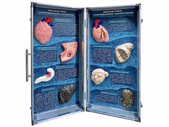 Учебно-демонстрационный кейс "Последствия употребления алкоголя и наркотиков" - fgospostavki.ru - Челябинск